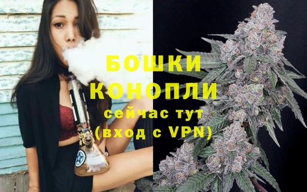 метадон Галич