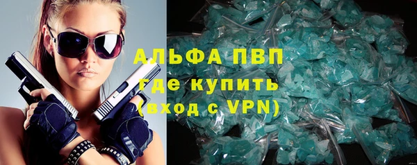 сатива Гатчина