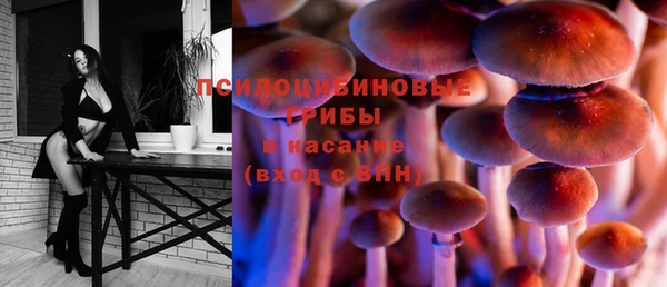 MDMA Premium VHQ Гвардейск