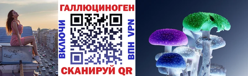 что такое   Дальнереченск  Псилоцибиновые грибы Magic Shrooms 
